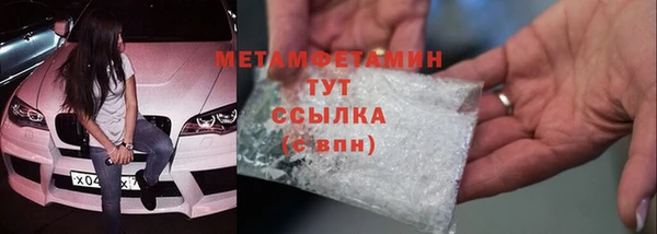 сатива Зеленокумск