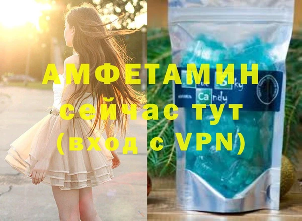 индика Анива