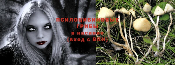 хмурый Зеленодольск