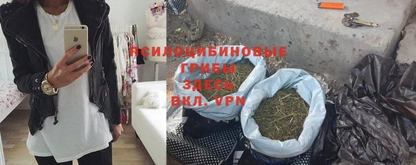 сатива Зеленокумск