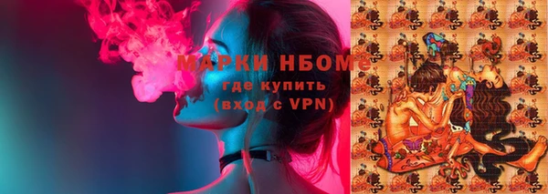 сатива Зеленокумск