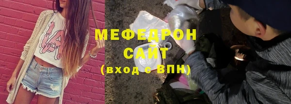 индика Анива