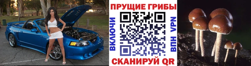Галлюциногенные грибы GOLDEN TEACHER  Иннополис 